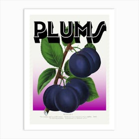 Plums Purple Graphic Wall Art Vintage Unique Eclectic Art Print