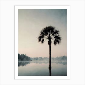 Palm Tree In Water Art Print