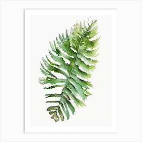 Lady Fern Watercolour Art Print