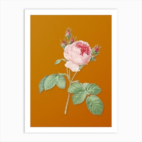 Vintage Pink Cabbage Rose Botanical on Sunset Orange n.0343 Art Print
