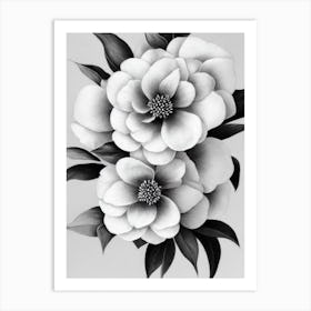 Camellia B&W Pencil 4 Flower Art Print
