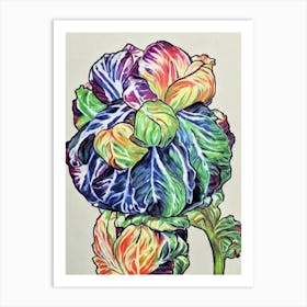 Radicchio 2 Fauvist vegetable Art Print