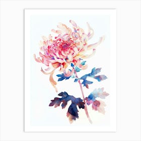 Chrysanthemum 4 Art Print