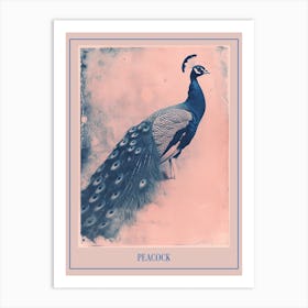 Pink & Blue Peacock Portrait 2 Poster Art Print