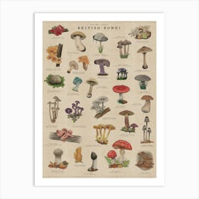 Fungi Art Magical Mushroom Print Art Print