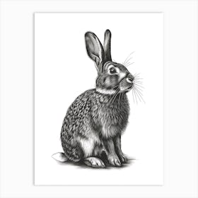 American Sable Blockprint Rabbit Illustration 4 Art Print