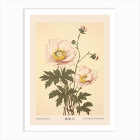 Hanaichige Japanese Anemone 3 Vintage Japanese Botanical Poster Art Print