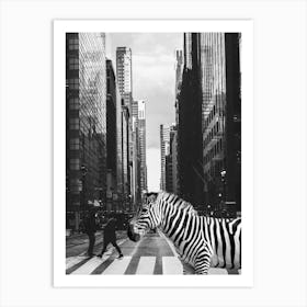 Zebra Crossing In NYC - Surreal Wildlife Photo Collage - Inspired by Inge Morath Art Print