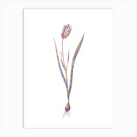 Stained Glass Lady Tulip Mosaic Botanical Illustration on White n.0155 Art Print