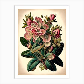 Rhododendron Wildflower Vintage Botanical 1 Art Print