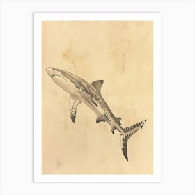 Zebra Shark Vintage Illustration 5 Art Print