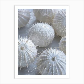 sea urchins Art Print