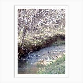 Stream In The Woods Art Print