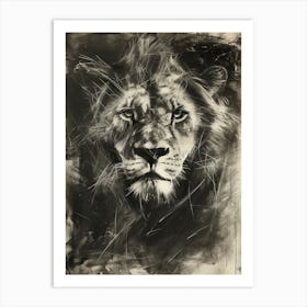 African Lion Charcoal Drawing Symbolic Imagery 3 Art Print