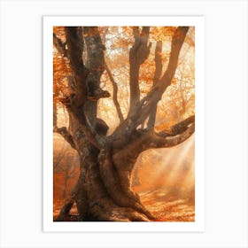 Autumn Tree In The Forest Art Print