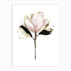 Magnolia 19 Art Print