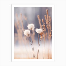 Cotton Flowers Art Print