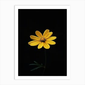 Single Yellow Flower 2 Art Print