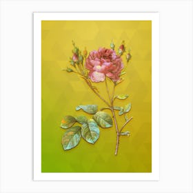 Vintage Pink Cumberland Rose Botanical Art on Empire Yellow n.0788 Art Print