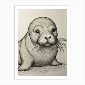 Seal Drawing 2 Art Print