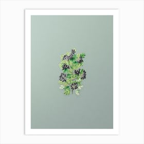 Vintage Hairy Leaved Black Hawthorn Botanical Art on Mint Green n.0909 Art Print