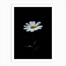 Daisy 1 Art Print