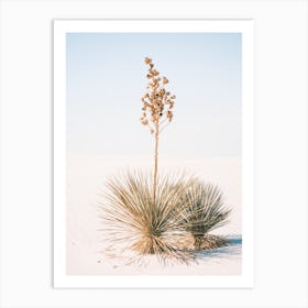 White Sands Agave Art Print