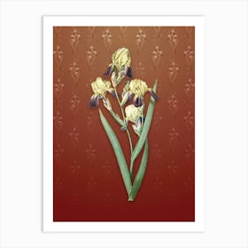 Vintage Elder Scented Iris Botanical on Falu Red Pattern n.0506 Art Print