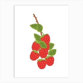 Raspberries On A Branch Art Print