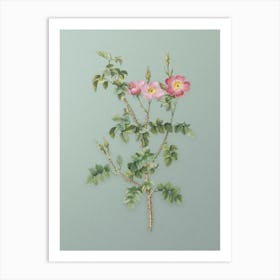 Vintage Prickly Sweetbriar Rose Botanical Art on Mint Green n.0380 Art Print