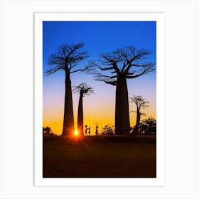 Baobab Trees in Madagascar Art Print