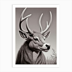 Deer Head 58 Art Print