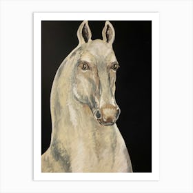 White Horse Marengo Art Print