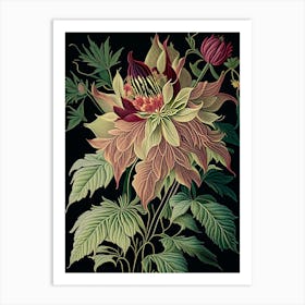 Dahlia Imperialis 3 Floral Botanical Vintage Poster Flower Art Print