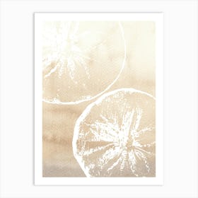 Sand Dollars 1 Art Print