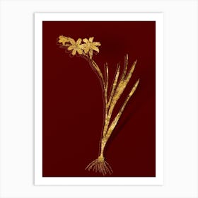 Vintage Gladiolus Botanical in Gold on Red n.0233 Art Print