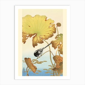Japanese Wagtail On Lotus Plant (1925 1936), Ohara Koson Art Print