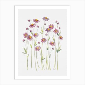 Pink Button Daisies Art Print