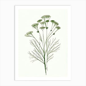 Caraway Herb Minimalist Watercolour 2 Art Print