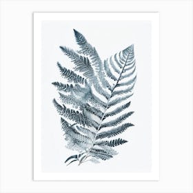 Silver Lace Fern 1 Watercolour Art Print