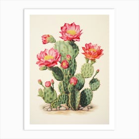 Vintage Cactus Illustration Notocactus Art Print