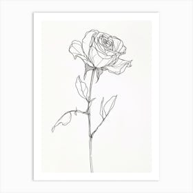 English Rose Black And White Line Drawing 28 Art Print