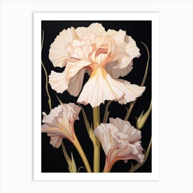 Flower Illustration Carnation Dianthus 6 Art Print