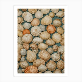 Seashells Art Print