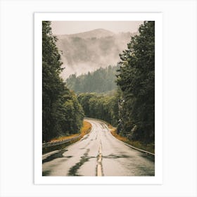 Road To Norway Forest Art Print