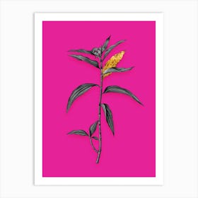 Vintage Dayflower Black and White Gold Leaf Floral Art on Hot Pink n.1154 Art Print