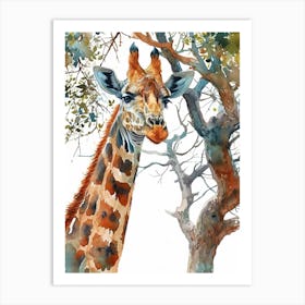 Giraffe Under The Acacia Tree Watercolour 3 Art Print