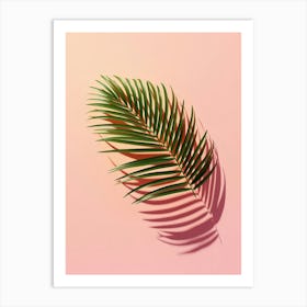 Shadow Of Palm Leaf On Pink Background Art Print