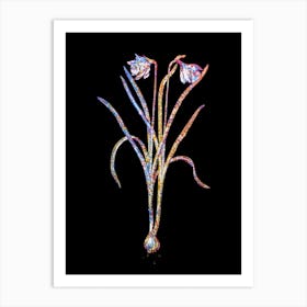 Stained Glass Narcissus Candidissimus Mosaic Botanical Illustration on Black n.0184 Art Print