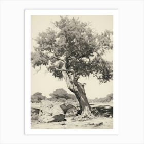 Antique Rustic Tree Sketch Art Print